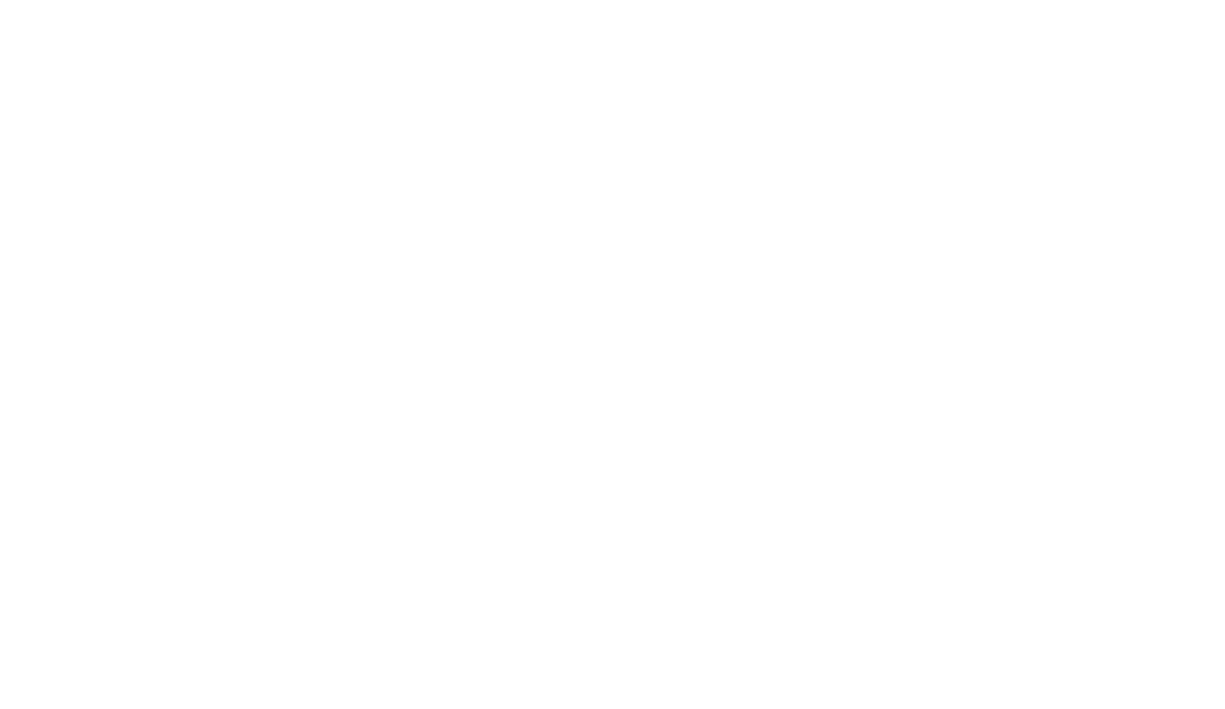 paint & saw building and carpentry logo upscaled white
